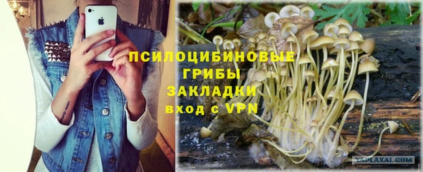 мескалин Краснослободск