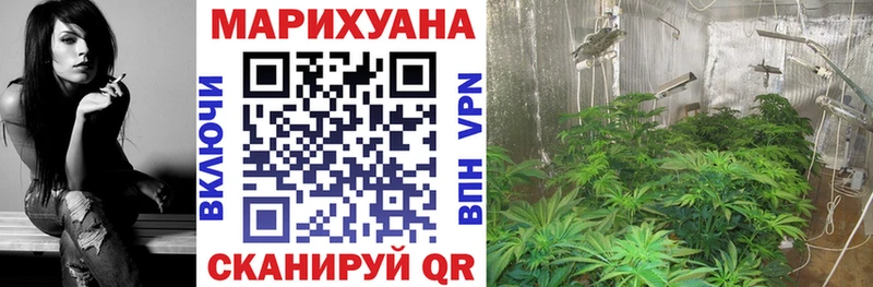 Каннабис MAZAR  Разумное 
